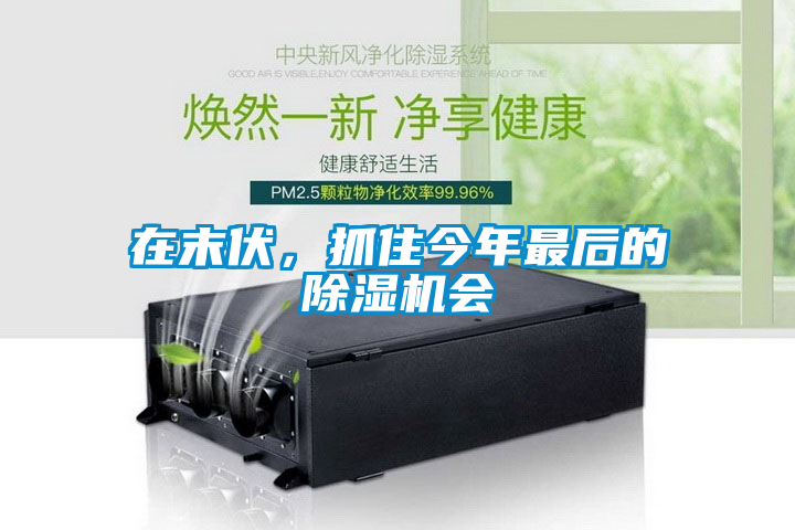 在末伏，抓住今年最后的除濕機(jī)會(huì)