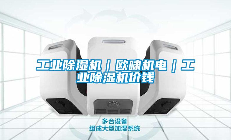 工業(yè)除濕機(jī)｜歐嘯機(jī)電｜工業(yè)除濕機(jī)價錢