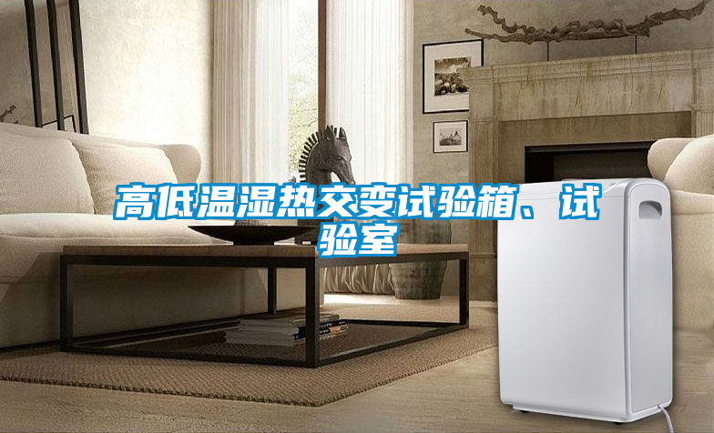 高低溫濕熱交變試驗(yàn)箱、試驗(yàn)室