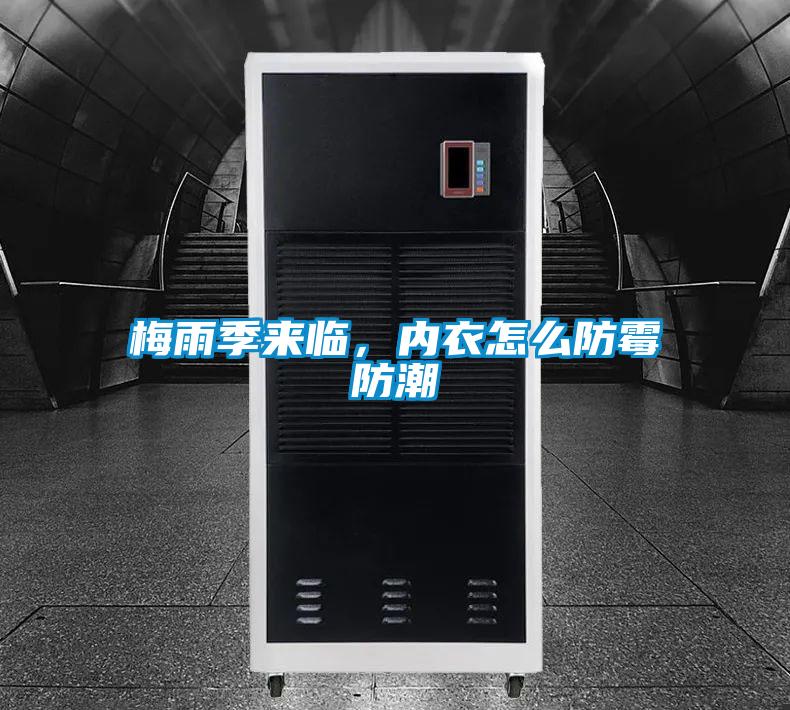 梅雨季來臨，內(nèi)衣怎么防霉防潮