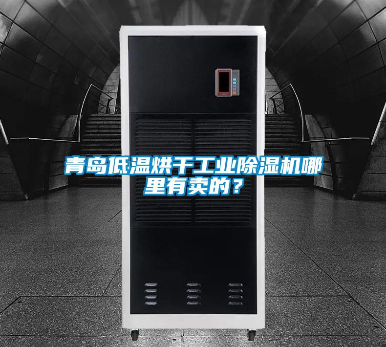 青島低溫烘干工業(yè)除濕機哪里有賣的？