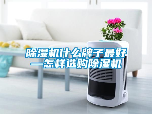 除濕機(jī)什么牌子最好—怎樣選購除濕機(jī)