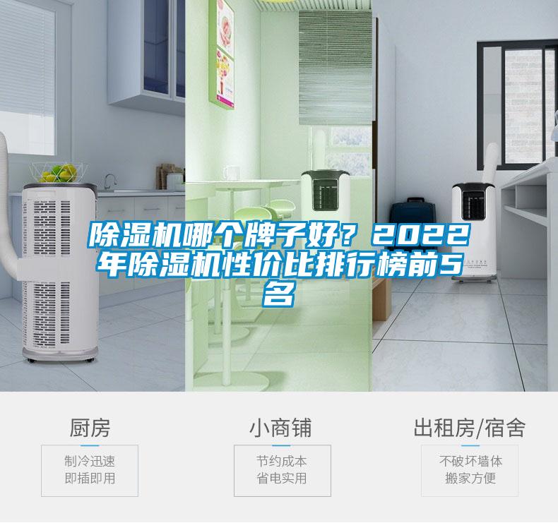除濕機(jī)哪個(gè)牌子好？2022年除濕機(jī)性價(jià)比排行榜前5名