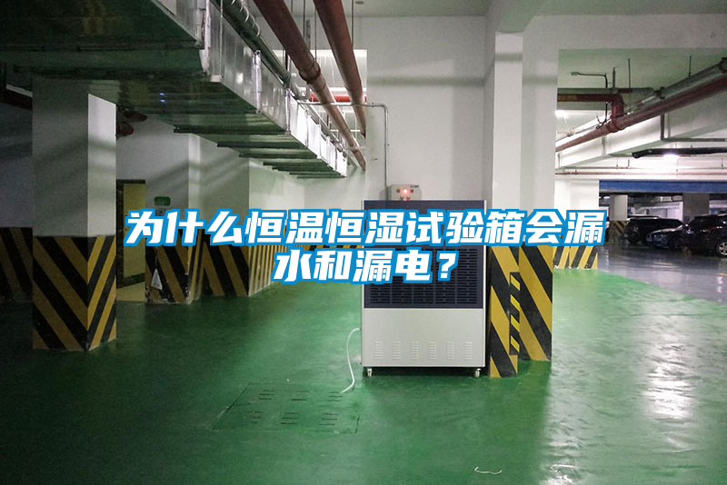 為什么恒溫恒濕試驗(yàn)箱會(huì)漏水和漏電？