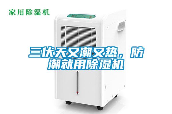 三伏天又潮又熱，防潮就用除濕機