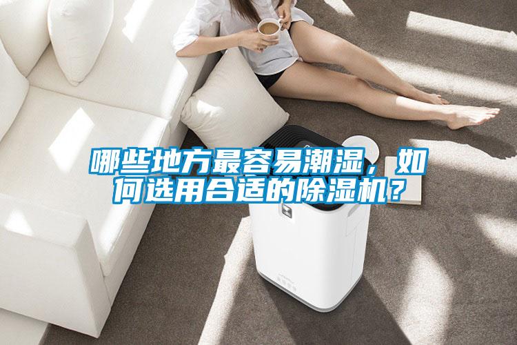哪些地方最容易潮濕，如何選用合適的除濕機(jī)？