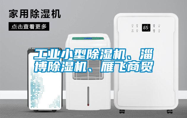 工業(yè)小型除濕機(jī)、淄博除濕機(jī)、雁飛商貿(mào)