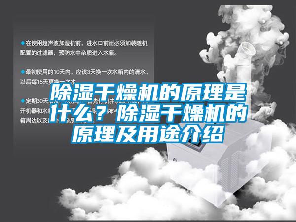 除濕干燥機(jī)的原理是什么？除濕干燥機(jī)的原理及用途介紹
