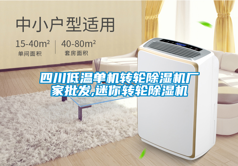 四川低溫單機轉(zhuǎn)輪除濕機廠家批發(fā),迷你轉(zhuǎn)輪除濕機