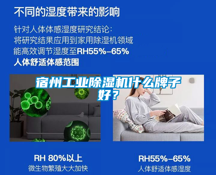 宿州工業(yè)除濕機(jī)什么牌子好？