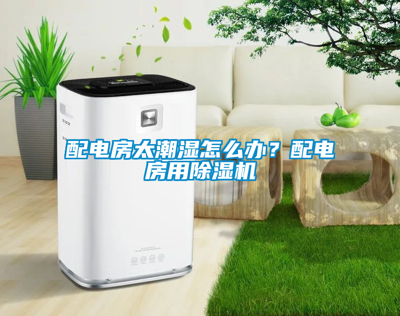配電房太潮濕怎么辦？配電房用除濕機