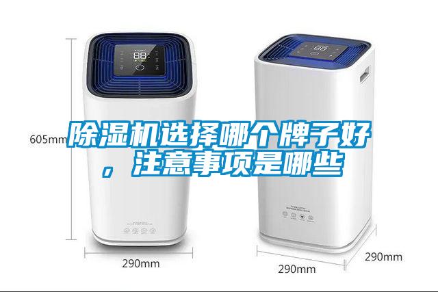 除濕機(jī)選擇哪個(gè)牌子好，注意事項(xiàng)是哪些