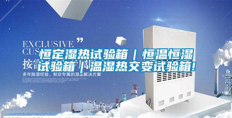 恒定濕熱試驗(yàn)箱｜恒溫恒濕試驗(yàn)箱｜溫濕熱交變試驗(yàn)箱!