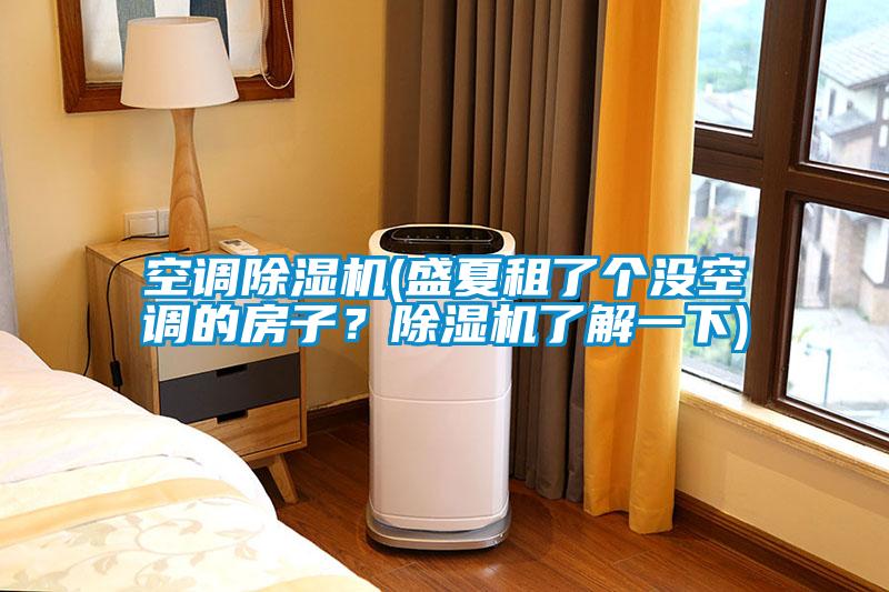 空調(diào)除濕機(jī)(盛夏租了個(gè)沒空調(diào)的房子？除濕機(jī)了解一下)