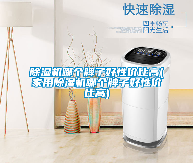 除濕機(jī)哪個牌子好性價(jià)比高(家用除濕機(jī)哪個牌子好性價(jià)比高)