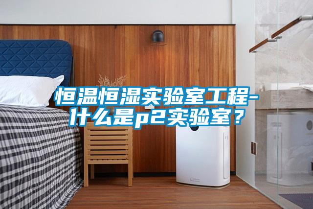 恒溫恒濕實(shí)驗(yàn)室工程-什么是p2實(shí)驗(yàn)室？