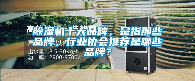 除濕機十大品牌，是指那些品牌，行業(yè)協(xié)會推薦是哪些品牌？