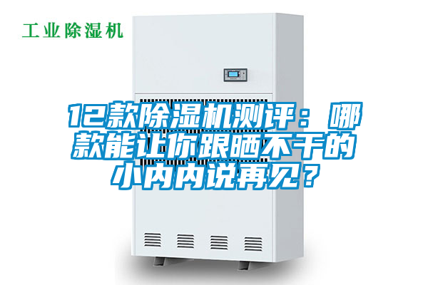 12款除濕機測評：哪款能讓你跟曬不干的小內(nèi)內(nèi)說再見？