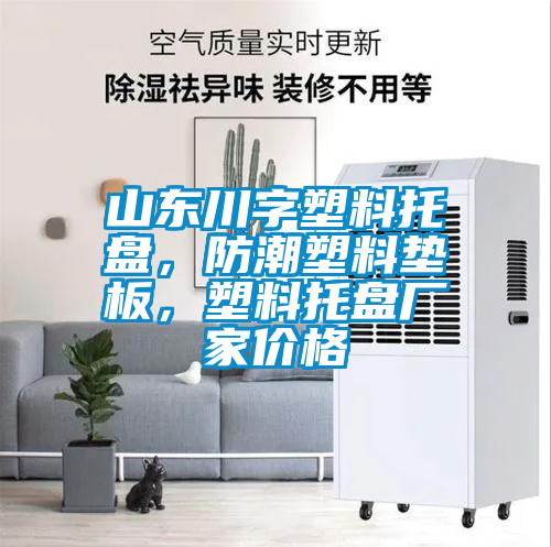 山東川字塑料托盤，防潮塑料墊板，塑料托盤廠家價格