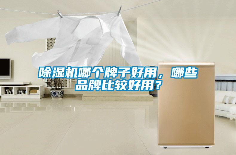 除濕機(jī)哪個(gè)牌子好用，哪些品牌比較好用？