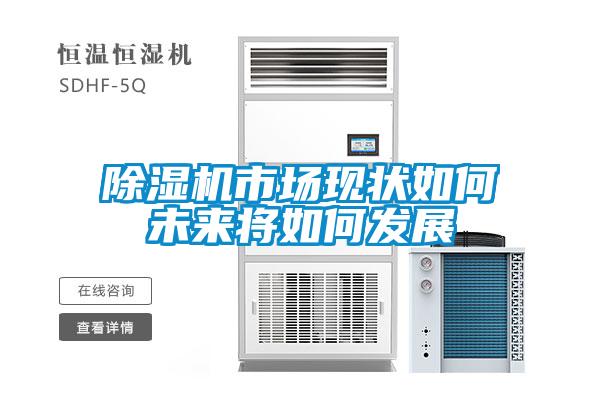 除濕機(jī)市場(chǎng)現(xiàn)狀如何未來將如何發(fā)展