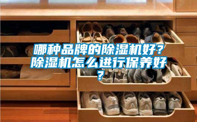 哪種品牌的除濕機好？除濕機怎么進行保養(yǎng)好？