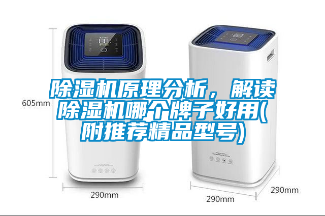 除濕機(jī)原理分析，解讀除濕機(jī)哪個(gè)牌子好用(附推薦精品型號(hào))