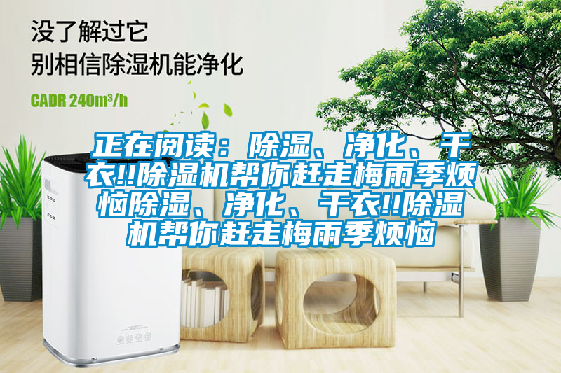 正在閱讀：除濕、凈化、干衣!!除濕機(jī)幫你趕走梅雨季煩惱除濕、凈化、干衣!!除濕機(jī)幫你趕走梅雨季煩惱