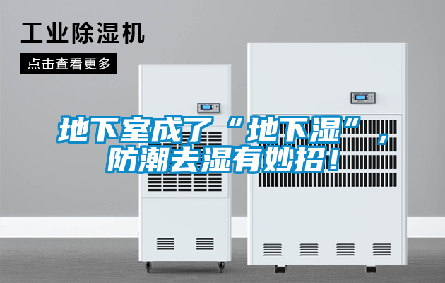 地下室成了“地下濕”，防潮去濕有妙招！