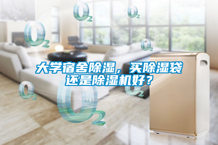 大學宿舍除濕，買除濕袋還是除濕機好？