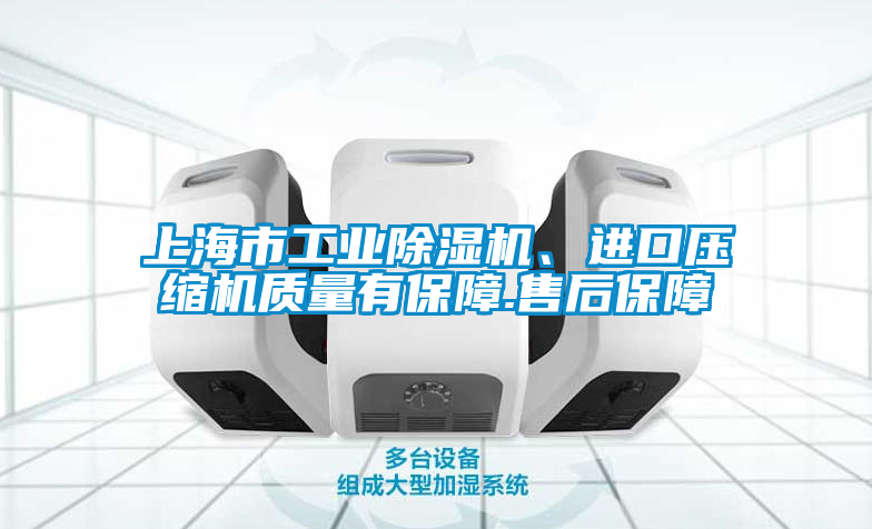 上海市工業(yè)除濕機、進口壓縮機質(zhì)量有保障.售后保障