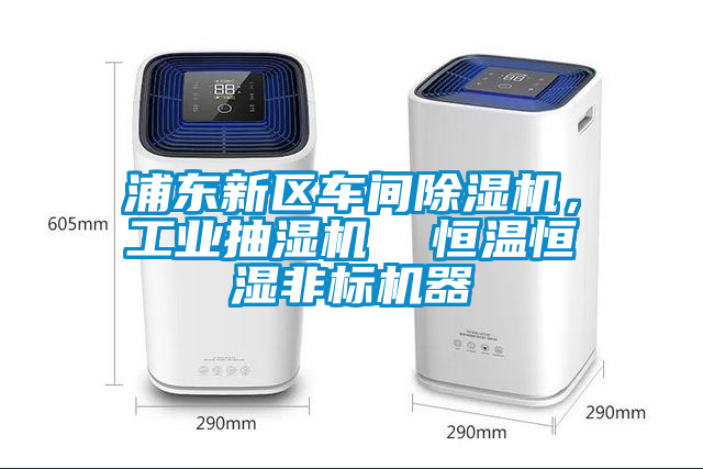 浦東新區(qū)車間除濕機(jī)，工業(yè)抽濕機(jī)  恒溫恒濕非標(biāo)機(jī)器