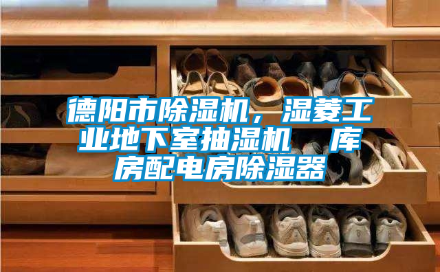 德陽(yáng)市除濕機(jī)，濕菱工業(yè)地下室抽濕機(jī)  庫(kù)房配電房除濕器
