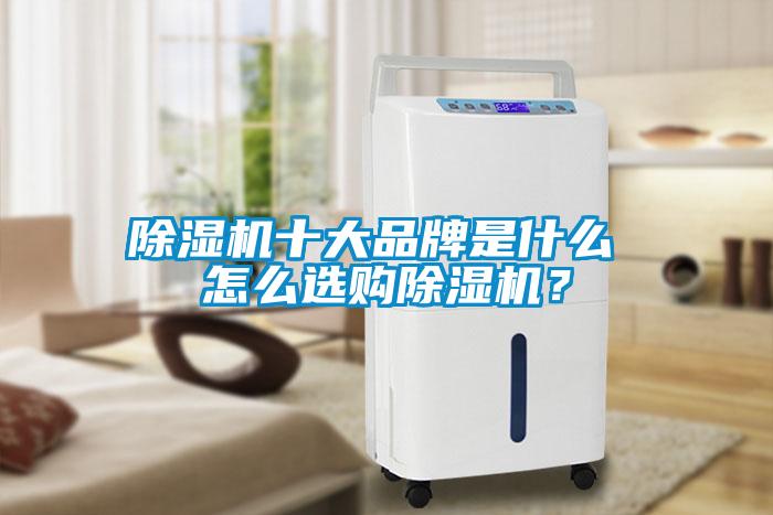 除濕機(jī)十大品牌是什么 怎么選購(gòu)除濕機(jī)？