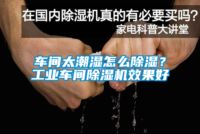 車間太潮濕怎么除濕？工業(yè)車間除濕機(jī)效果好