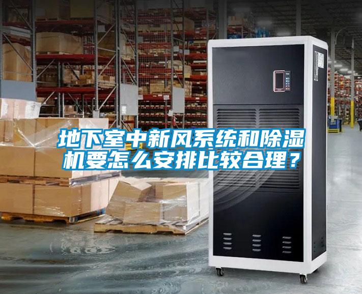 地下室中新風(fēng)系統(tǒng)和除濕機要怎么安排比較合理？
