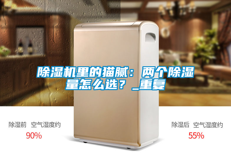 除濕機(jī)里的貓膩：兩個(gè)除濕量怎么選？_重復(fù)