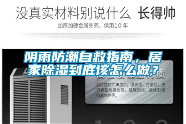陰雨防潮自救指南，居家除濕到底該怎么做？