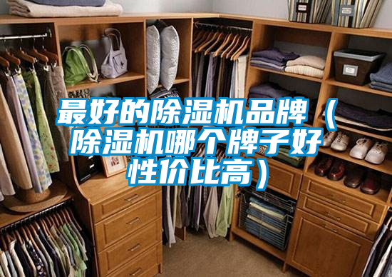 最好的除濕機(jī)品牌（除濕機(jī)哪個牌子好性價比高）