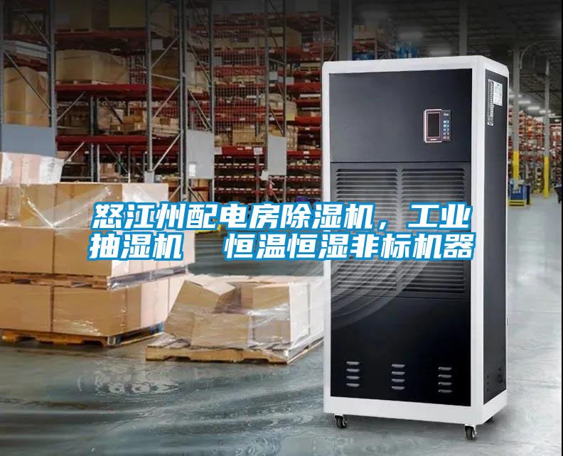 怒江州配電房除濕機(jī)，工業(yè)抽濕機(jī)  恒溫恒濕非標(biāo)機(jī)器