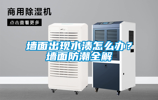 墻面出現(xiàn)水漬怎么辦？墻面防潮全解