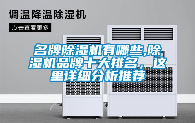 名牌除濕機(jī)有哪些,除濕機(jī)品牌十大排名，這里詳細(xì)分析推薦