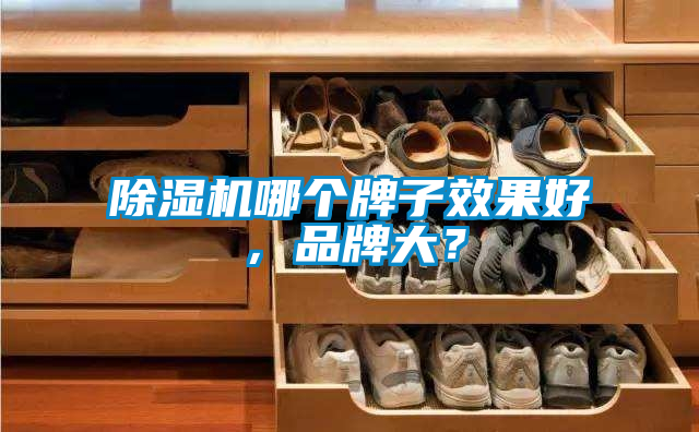 除濕機(jī)哪個牌子效果好，品牌大？