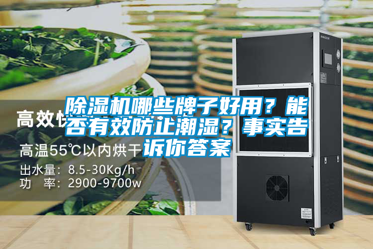 除濕機哪些牌子好用？能否有效防止潮濕？事實告訴你答案