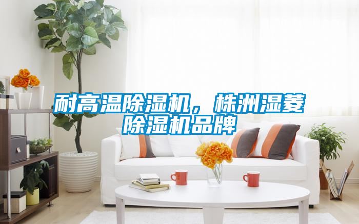 耐高溫除濕機，株洲濕菱除濕機品牌