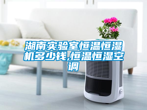 湖南實驗室恒溫恒濕機多少錢,恒溫恒濕空調(diào)