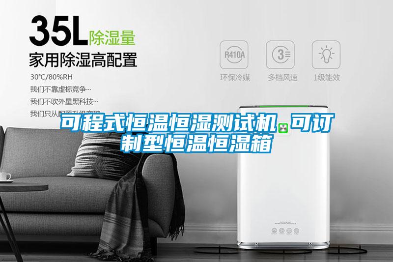 可程式恒溫恒濕測試機(jī) 可訂制型恒溫恒濕箱