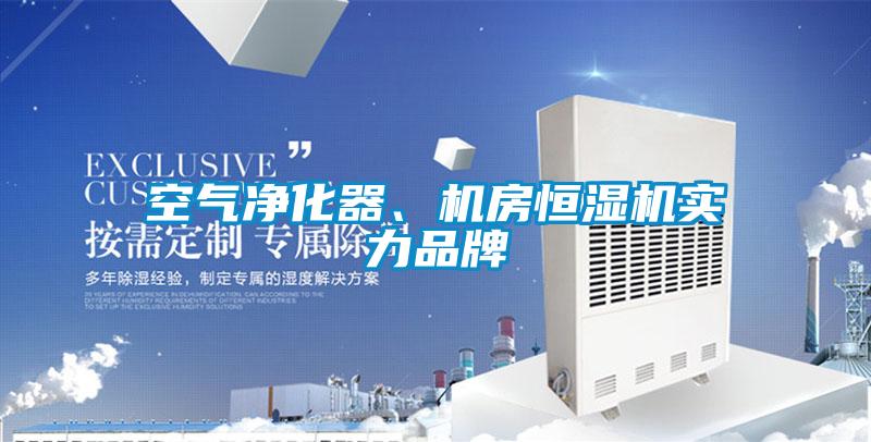空氣凈化器、機房恒濕機實力品牌