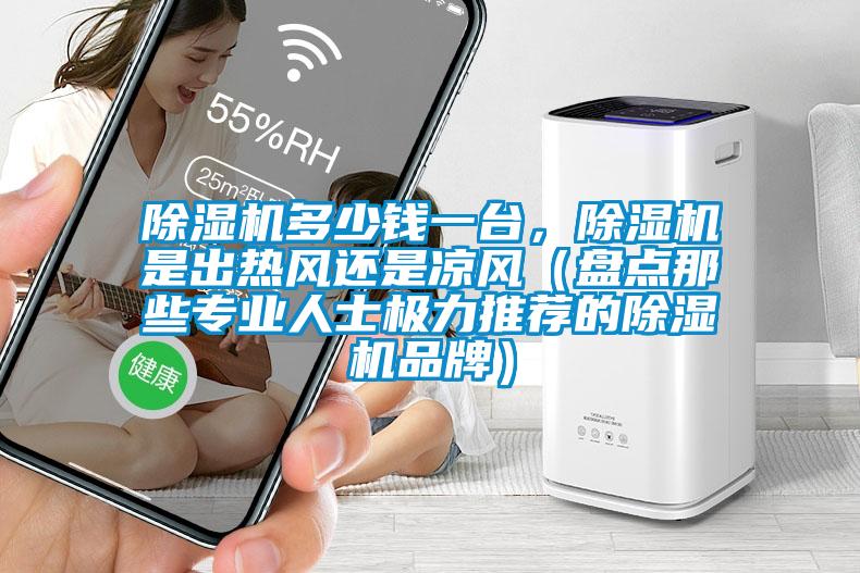 除濕機(jī)多少錢一臺，除濕機(jī)是出熱風(fēng)還是涼風(fēng)（盤點那些專業(yè)人士極力推薦的除濕機(jī)品牌）