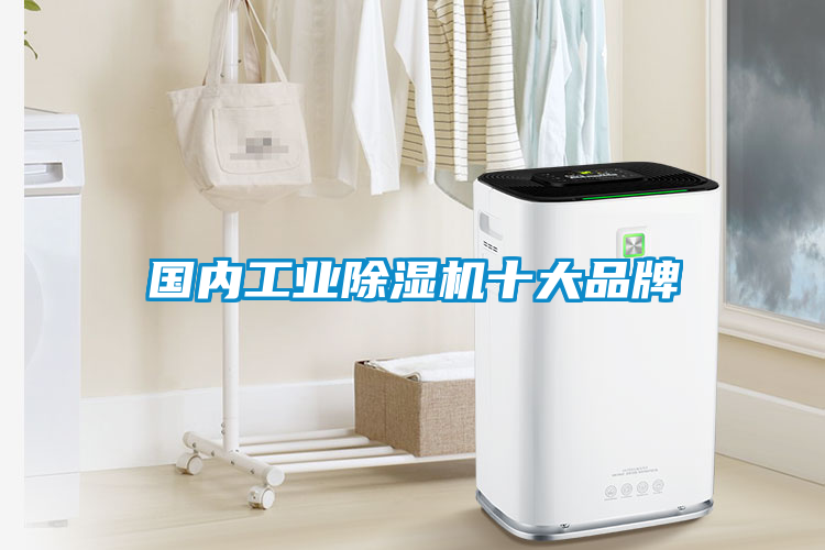 國內(nèi)工業(yè)除濕機(jī)十大品牌
